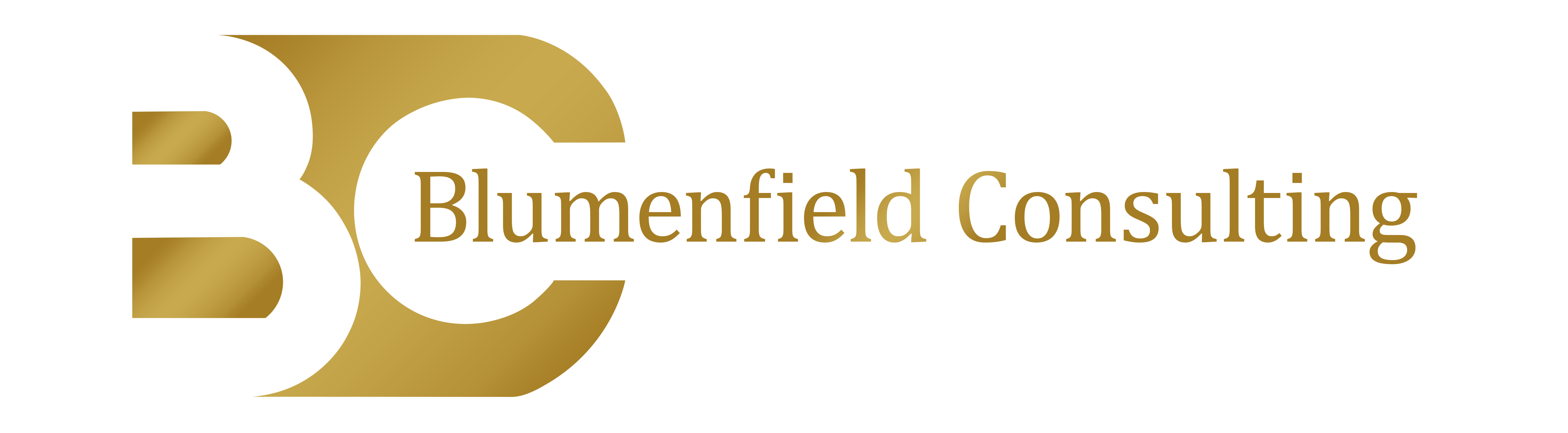 blumenfield-logo (1)